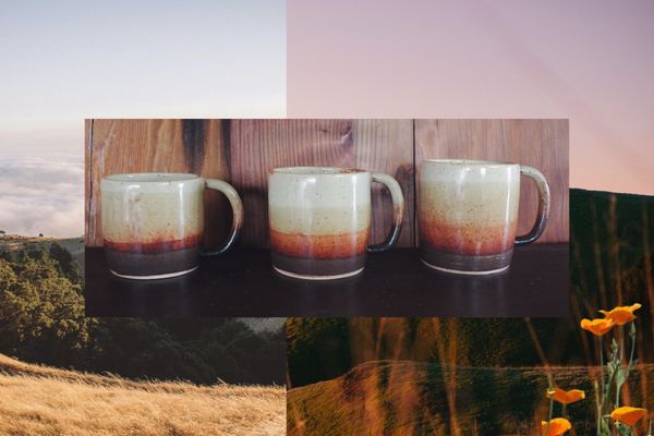 Tamalpais mugs on shelves